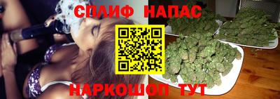 spice Коммунар
